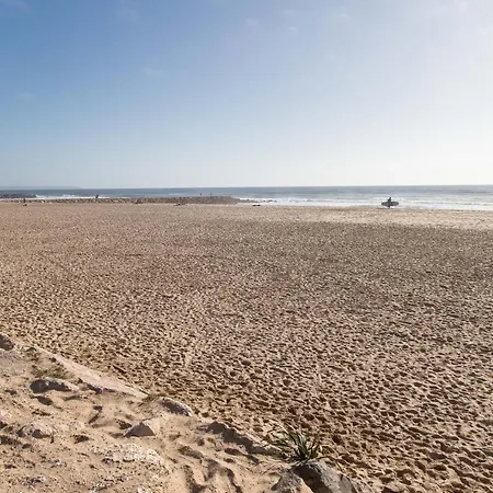 Daniela's - Brand New In